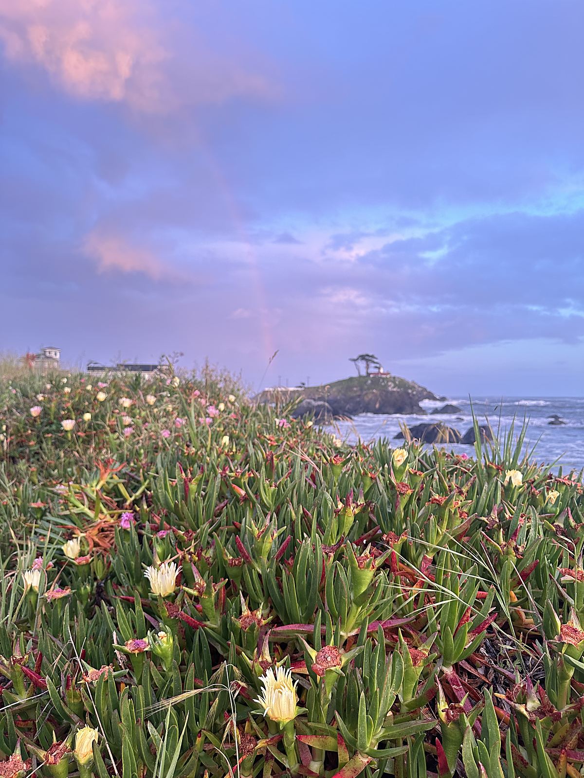 Rainbow over the coast
